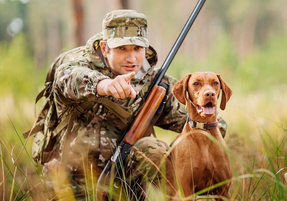 la chasse