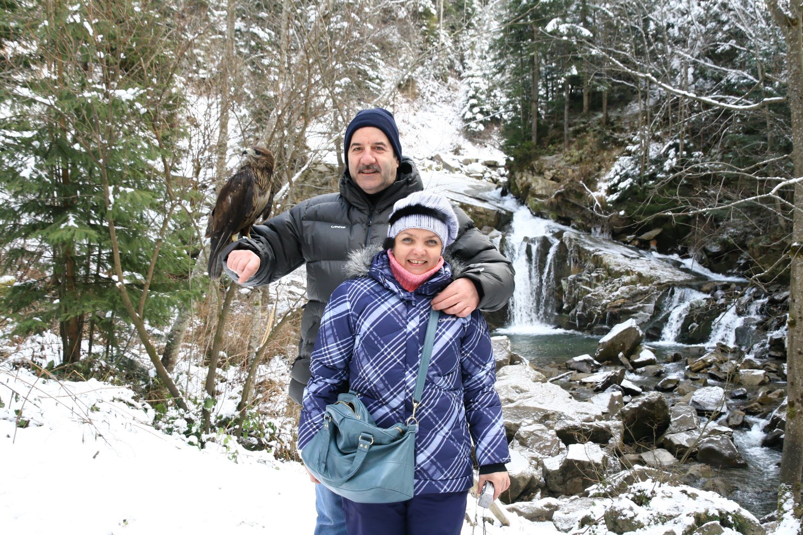 Les carpates